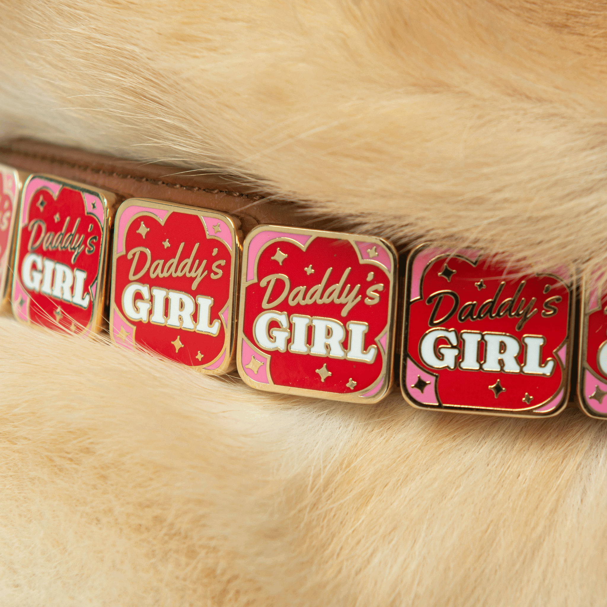 Daddy's Girl Charm - Collar Dog