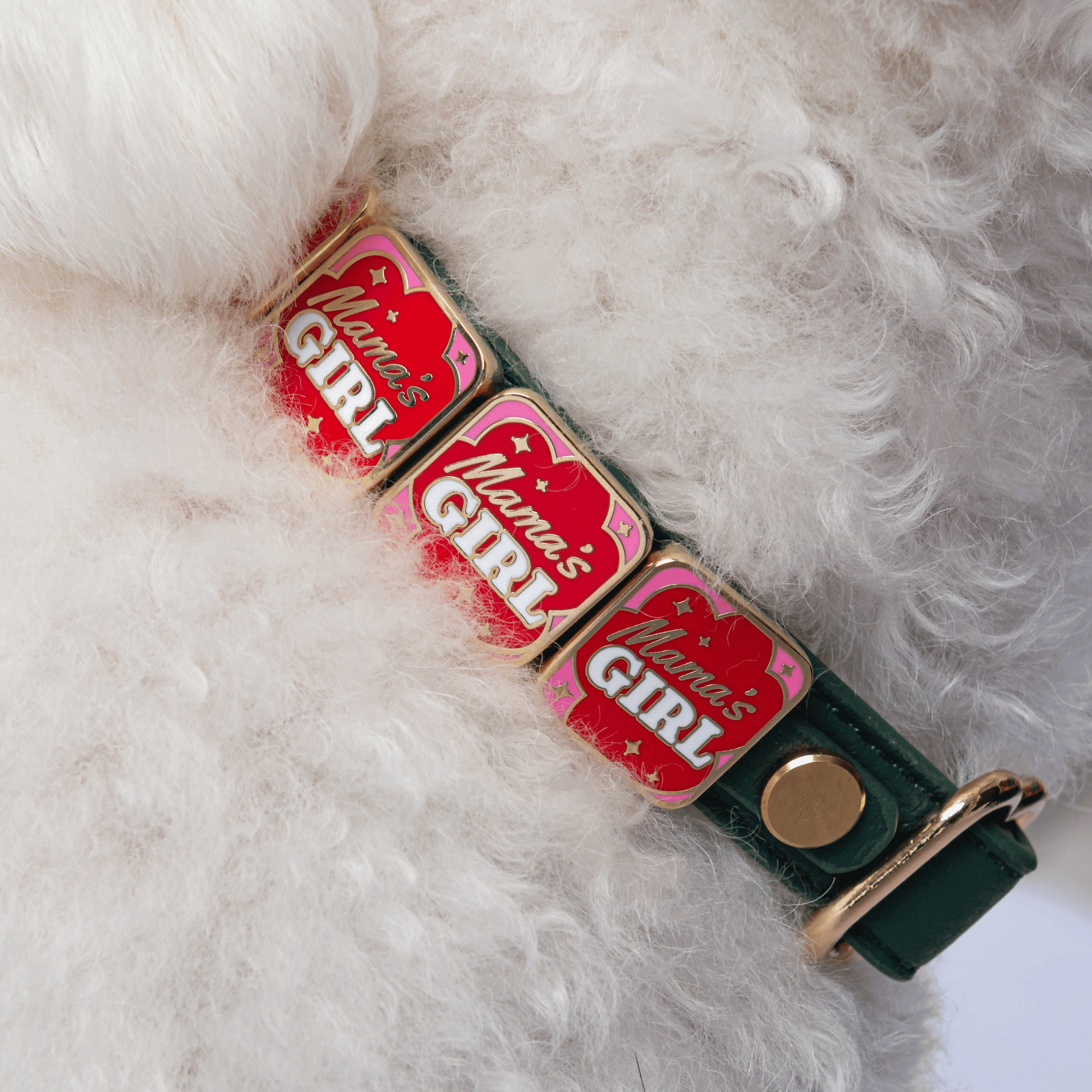 Mama's Girl Charm - Collar Dog