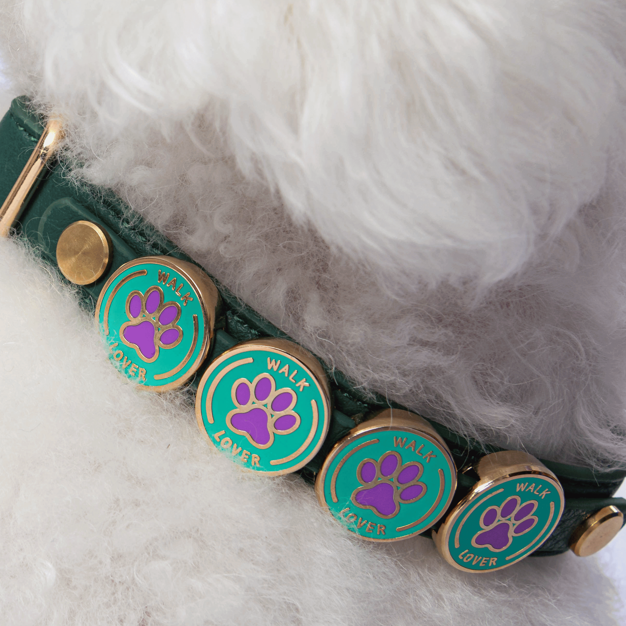 Walk Lover Charm - Collar Dog