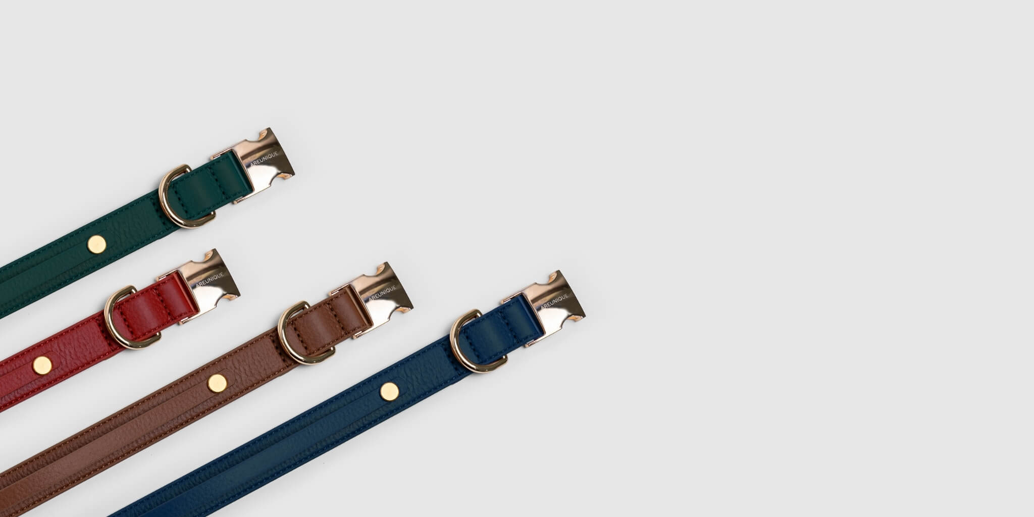 Collar dog Flat banner