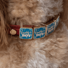 Daddy's Boy Charm - Collar Dog