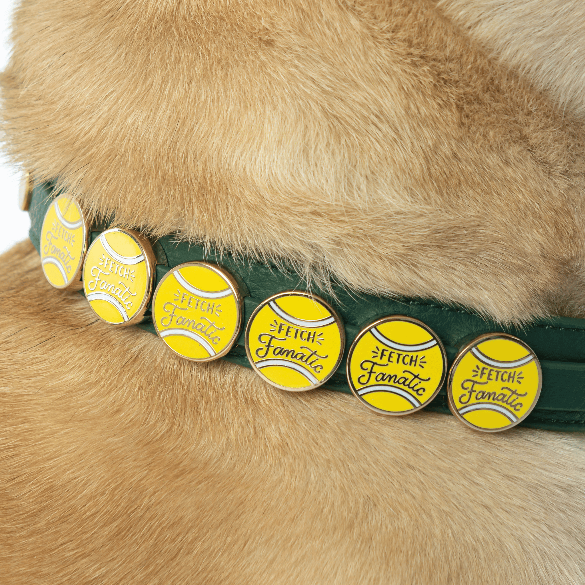 Fetch Fanatic Charm - Collar Dog