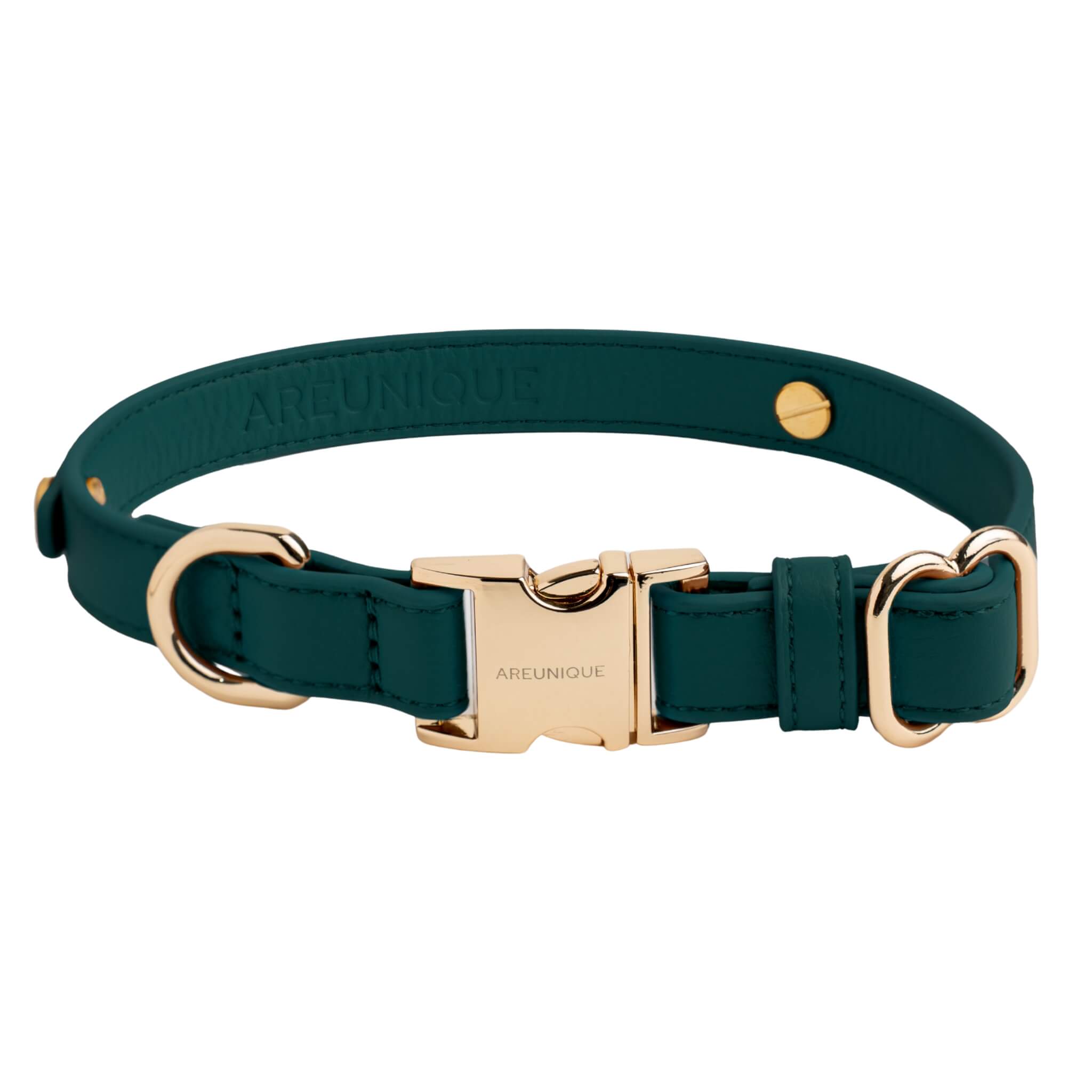 collar green dog