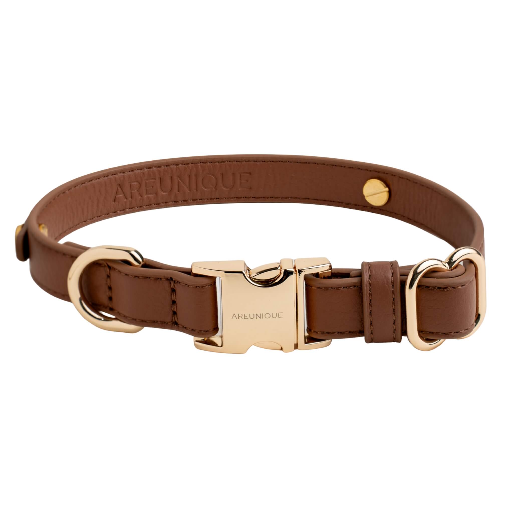 Collar Light Brown Dog