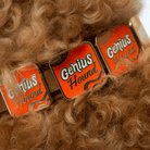 Genius Hound Charm - Collar Dog