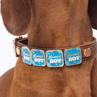 Mama's Boy Charm - Collar Dog