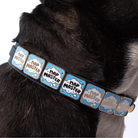 Nap Master Charm - Collar Dog