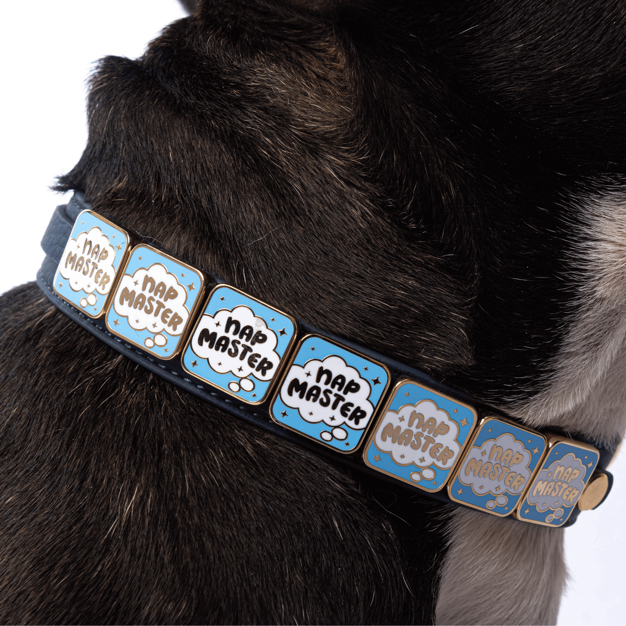 Nap Master Charm - Collar Dog