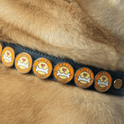 Treat Enthusiast Charm - Collar Dog
